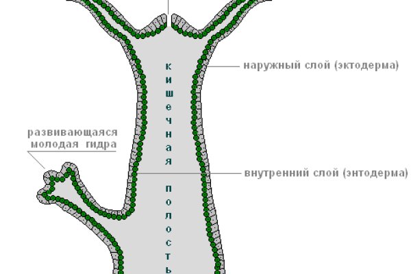 Кракен тор текст