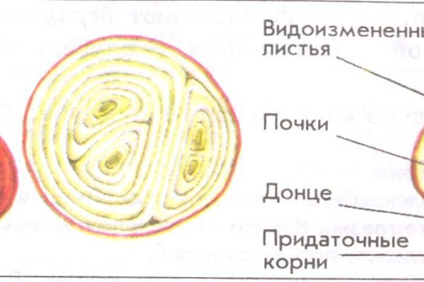 Kraken зеркало krakens13 at